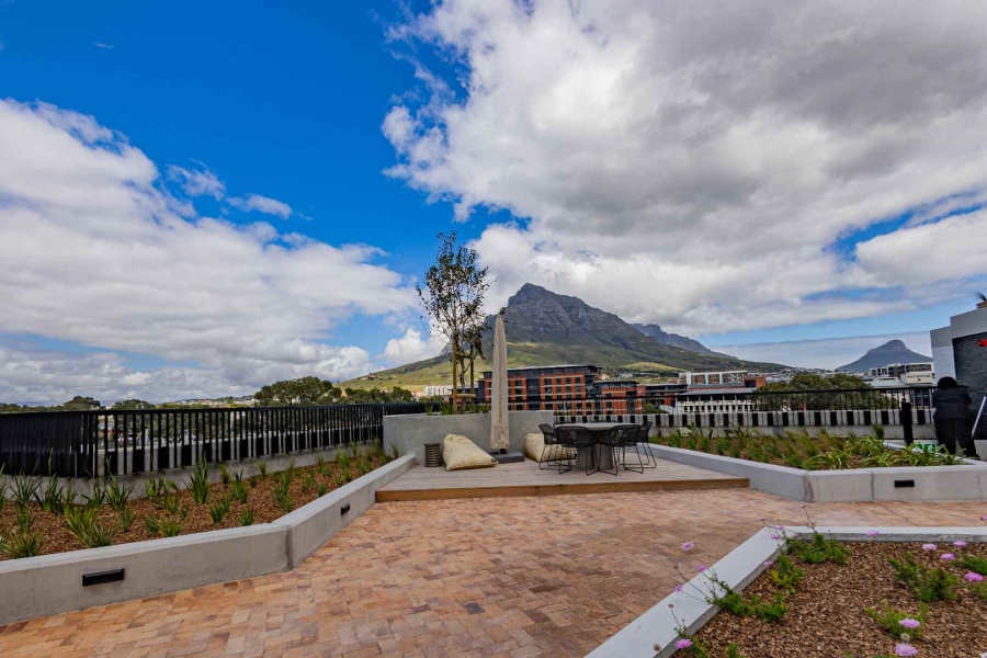 To Let 0 Bedroom Property for Rent in Observatory Western Cape